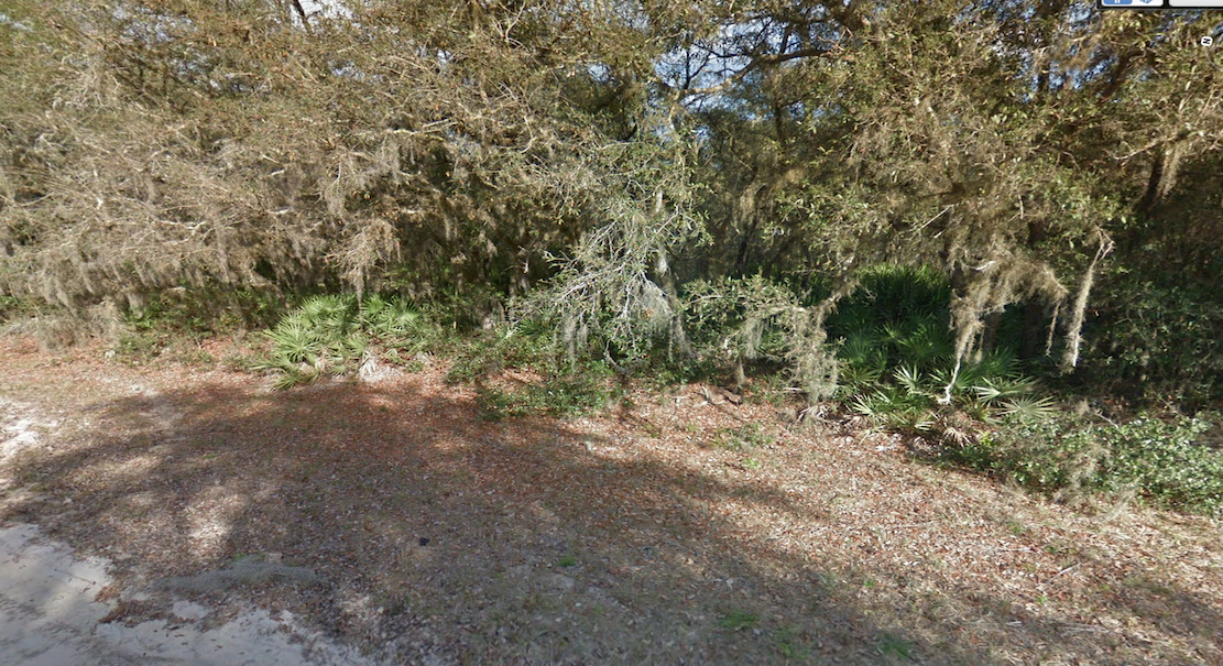 Lot For Sale INTERLACHEN LAKES ESTATES UNIT 16 Putnam FL 0.210